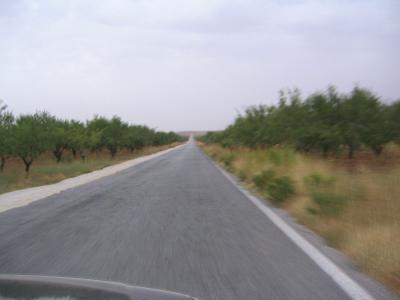 20070531210116-img-0104.jpg