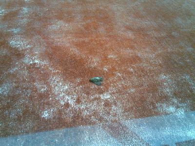 20080721232809-fotiko-1420-.jpg