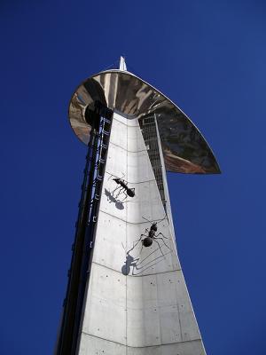 20080728154856-hormigas.jpg