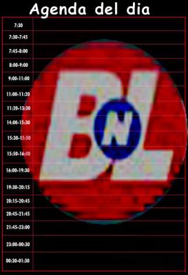 20080918105824-agenda-dia-marcas-bnl.jpg